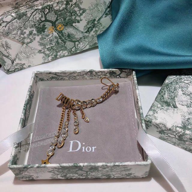 Dior飾品 迪奧經典熱銷款耳釘 專櫃新款羽毛馬眼耳鉤  zgd1008